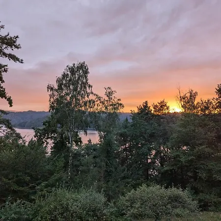 W Lesie Z Widokiem Na Jezioro I Gory Oraz Prywatnym Basenem, Sauna, Kominkiem, Lasem I Ogrodem