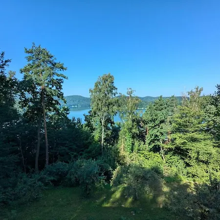 Villa W Lesie Z Widokiem Na Jezioro I Gory Oraz Prywatnym Basenem, Sauna, Kominkiem, Lasem I Ogrodem *