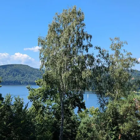 W Lesie Z Widokiem Na Jezioro I Gory Oraz Prywatnym Basenem, Sauna, Kominkiem, Lasem I Ogrodem Roznow
